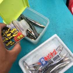 太刀魚 ウキ釣り釣果